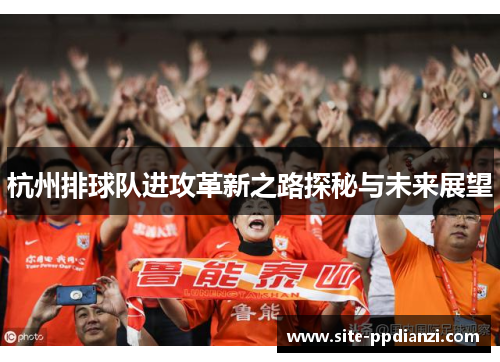 杭州排球队进攻革新之路探秘与未来展望