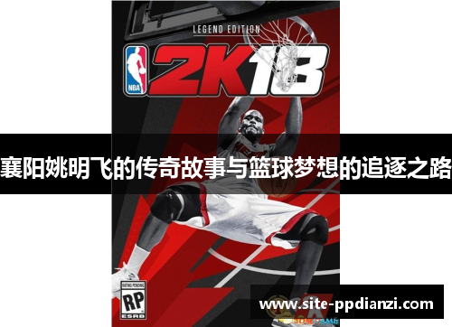 襄阳姚明飞的传奇故事与篮球梦想的追逐之路