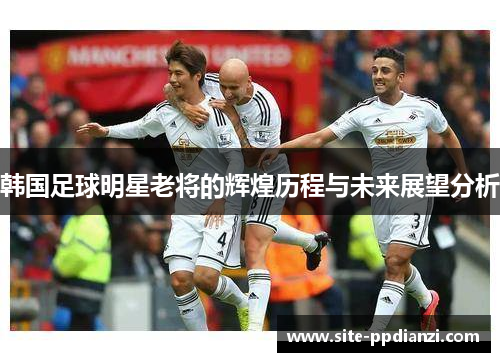 韩国足球明星老将的辉煌历程与未来展望分析